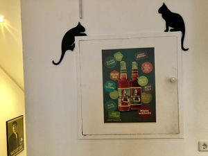 wostok at Katzencafe Miezhaus in Bielefeld