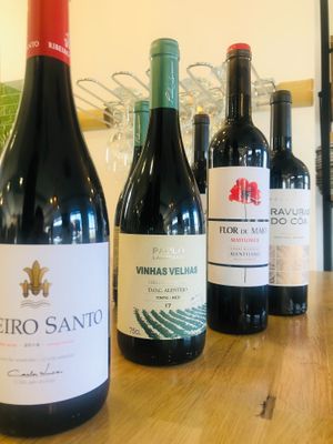 Organic wines at Raizes in Quarteira