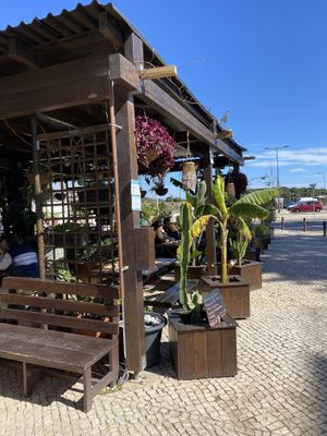 Outdoor seating area  at Raizes in Quarteira