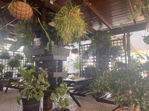   at Raizes in Quarteira