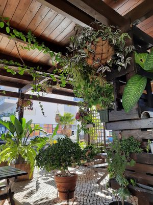  at Raizes in Quarteira