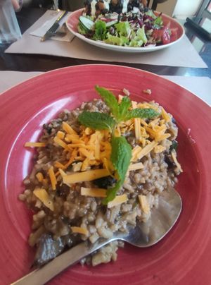  at Raizes in Quarteira