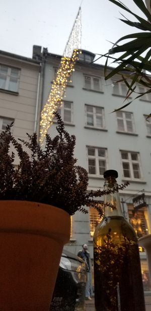 View out the window from the table during the Christmas season at Atlas Bar in Copenhagen