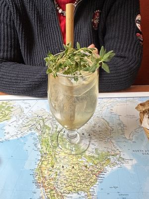 Elderflower   at Atlas Bar in Copenhagen