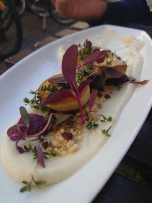 King oyster mushrooms with cauliflower pure, caramelized onion, cashew cheese and herbs at Atlas Bar in Copenhagen