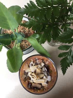 Coco avocado  at Snooze in Chiang Mai