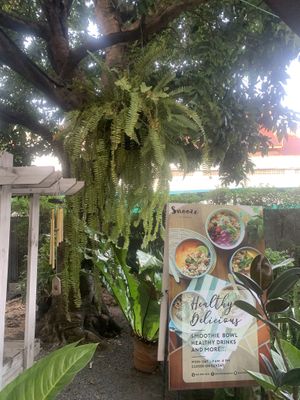 Outdoor area  at Snooze in Chiang Mai