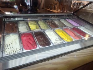  at Kugelpudel Garten Eden in Dortmund