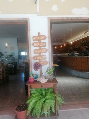 Ambiance sympa #Veganuary at Gaia Loja Restaurante in Rogil