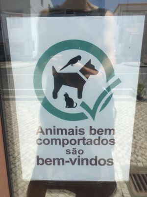 Pet-friendly space  at Gaia Loja Restaurante in Rogil