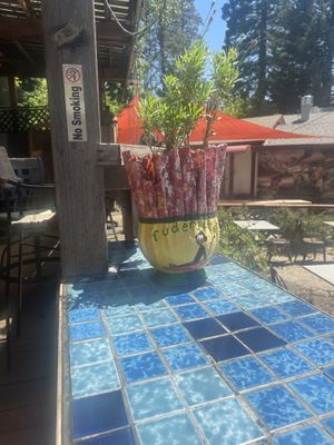 Cute logo  at Fudenjuce in Nevada City