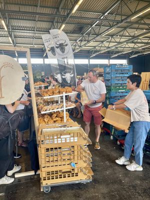  at Bakery Frimout in Ghent