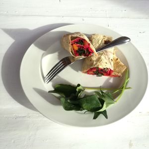 Beetroot hummus Bedouin bread wrap with local organic greens. at Marine Garden Camp in Dahab