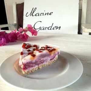 Raw cakes by the Red Sea. at Marine Garden Camp in Dahab