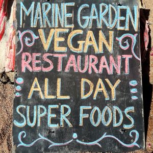 This is what we do. at Marine Garden Camp in Dahab