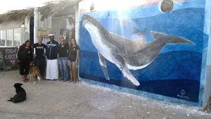 Some of our crew, most have volunteered for Sea Shepherd, our world's largest ocean based conservation organisation.
 at Marine Garden Camp in Dahab