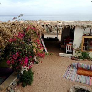 Our restaurant, the Red Sea is right here. at Marine Garden Camp in Dahab