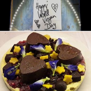 Special cakes for special days.
Our main chef's birthday is on World Vegan Day.
We often host fundraising dinners for Sea Shepherd. at Marine Garden Camp in Dahab