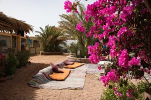 Outdoor seating area. at Marine Garden Camp in Dahab