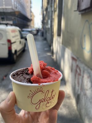 Schokolade und Erdbeer  at Natura Gelato in Trieste