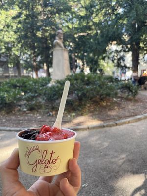 Eissalon in der Nähe eines Parks  at Natura Gelato in Trieste