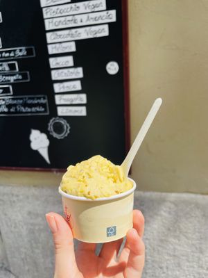 Pistacchio Vegan  at Natura Gelato in Trieste