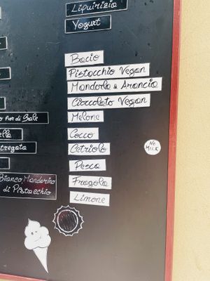 Vegan ice creams    at Natura Gelato in Trieste