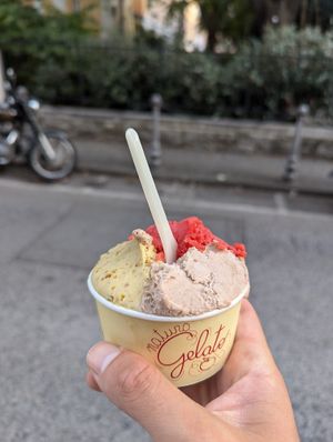 F at Natura Gelato in Trieste
