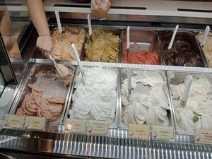  at Natura Gelato in Trieste