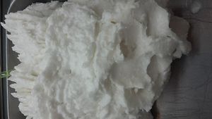 Vegan coconut ice cream at Natura Gelato in Trieste