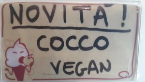Vegan coconut ice cream at Natura Gelato in Trieste