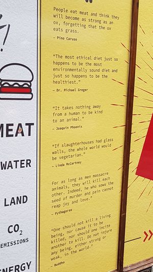  at Lord of the Fries - St Kevins Arcade in Auckland