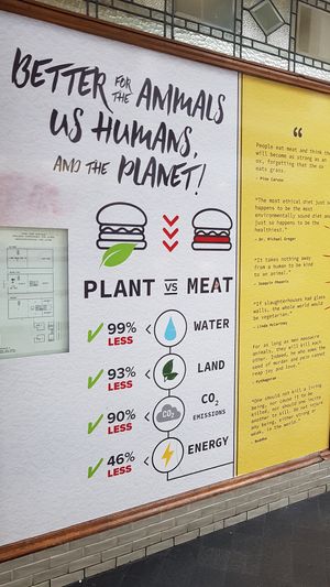  at Lord of the Fries - St Kevins Arcade in Auckland