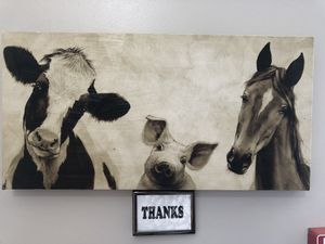 On the wall at Mud Pie at Mud Pie Vegan Bakery and Coffee in Mission