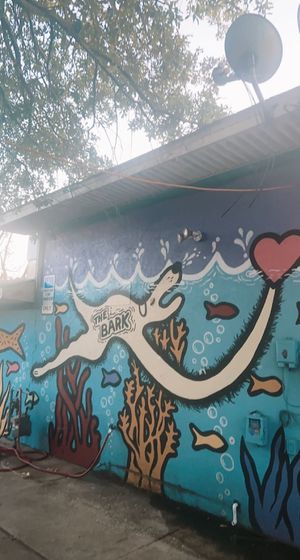 outside  at The Bark in Tallahassee