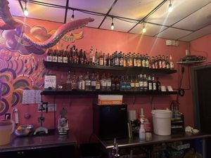   at The Bark in Tallahassee