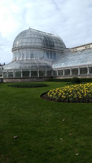 Botanic gardens a couple of minutes walk away at Umi Falafel in Belfast