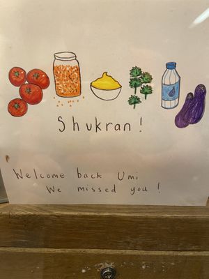 🌈   at Umi Falafel in Belfast