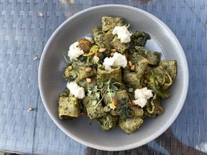 Kale pesto rigatoni with macadamia ricotta   at Harvest Seasonal Grill & Wine Bar in Moosic