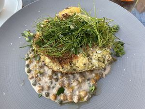 Cauliflower schnitzel!   at Harvest Seasonal Grill & Wine Bar in Moosic