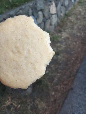 half eaten vegan ice cream sandwich (sorry!) at Cold Comfort in Victoria