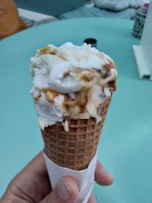 Fig at Full Spoon in Athens