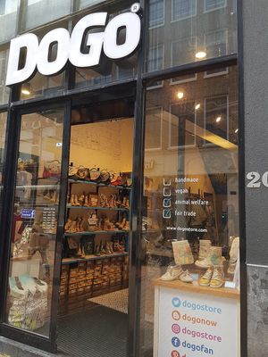 front at Dogo in Amsterdam