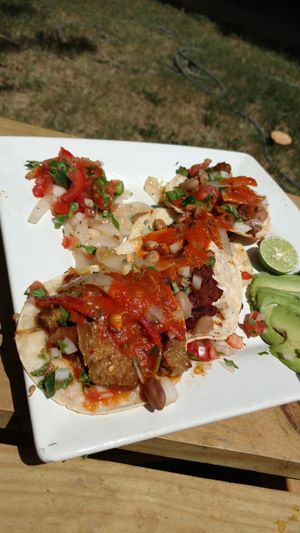 Vegan asada and adobada tacos  at Tapatio Vegan Tacos - Food Trailer in San Antonio