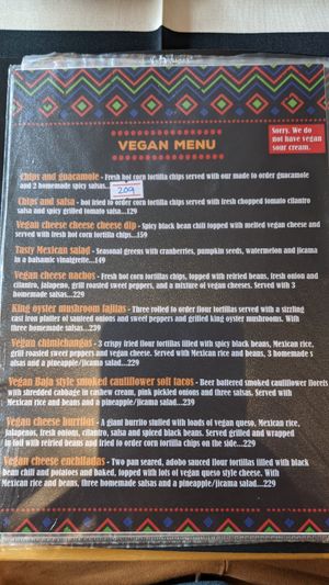 The current vegan menu at Salsa Kitchen - Huay Kaew in Chiang Mai