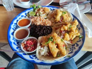Vegan tacos at Salsa Kitchen - Huay Kaew in Chiang Mai