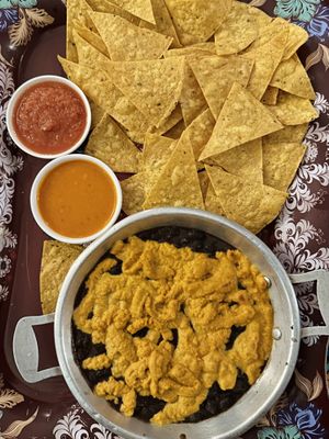 Vegan cheese cheese cheese dip (159 THB)  at Salsa Kitchen - Huay Kaew in Chiang Mai