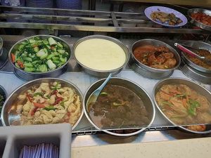 Selections at Ji Ling Vegetarian 吉淩素食 in North Singapore