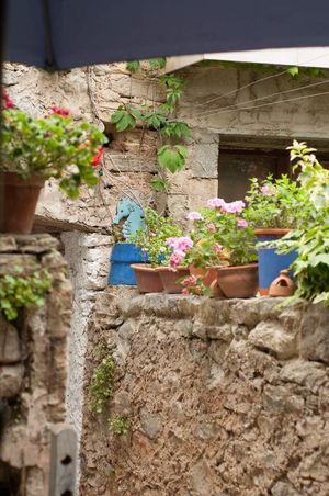  at La Mar de Vins in Mallorca