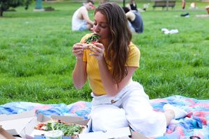 We deliver to the park for free including free picnic rugs and finska at Small Print Pizza Bar in Windsor